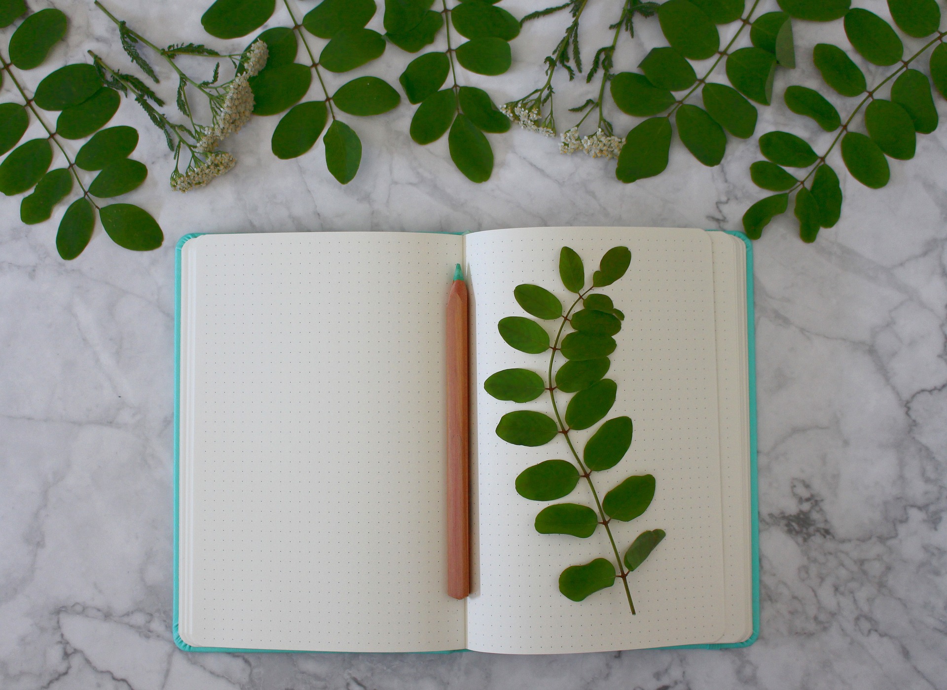 monfocus-notebook-5475884_1920